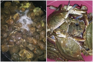청산민박 앞바다에서 해루질체험!